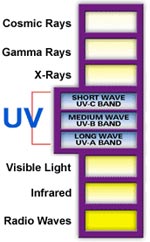 Ultraviolet Light - UV - UVC, UVB, UVA